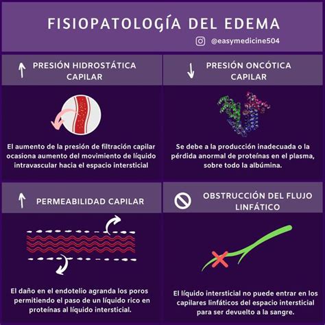 Infografía que muestra las causas principales del edema posparto, como hormonas, volumen sanguíneo y líquidos IV.