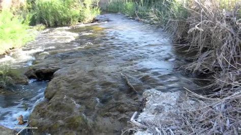 Nacimiento del río Cigüela en la Sierra de Cabrejas, Cuenca