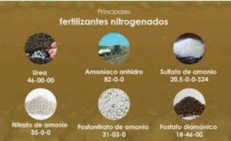 Infografía comparativa de diferentes tipos de fertilizantes nitrogenados, mostrando su contenido de N, características y reacciones en el suelo.