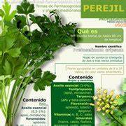 Infografía sobre los principales componentes químicos del perejil: flavonoides, apiol, miristicina, y vitaminas