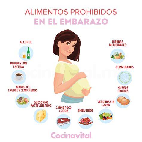 Infografía ilustrando alimentos seguros y a evitar durante el embarazo, con énfasis en la higiene