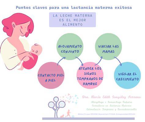 Esquema: Indicadores de una toma eficaz de lactancia materna