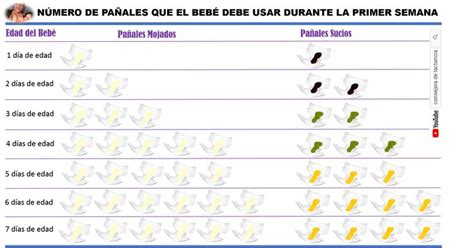 Infografía o tabla de pañales mojados y sucios en los primeros días del bebé