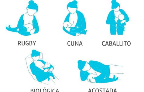 Esquemas de diferentes posiciones para amamantar al bebé