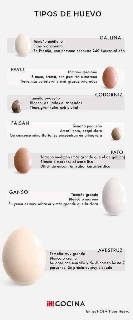 Infografía sobre los distintos tipos de huevos y su clasificación