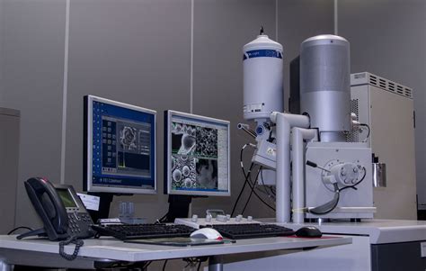Microscopía electrónica de barrido y PolScope de la Zona Pelúcida humana, mostrando su estructura porosa y trilaminar