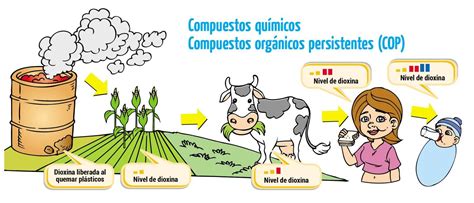 Mapa de España mostrando la distribución de estudios de contaminantes orgánicos persistentes.