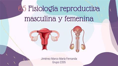 esquema: anatomía reproductiva femenina y puntos de evaluación