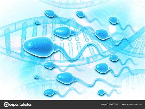 imagen microscópica: espermatozoides