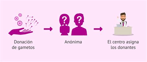 Infografía sobre los requisitos y el anonimato de la donación de gametos en el contexto legal español