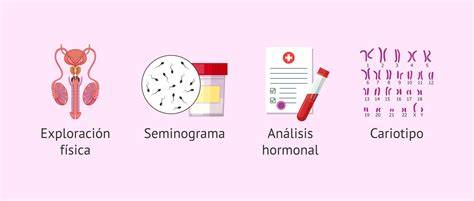Esquema de las pruebas de fertilidad masculina y femenina
