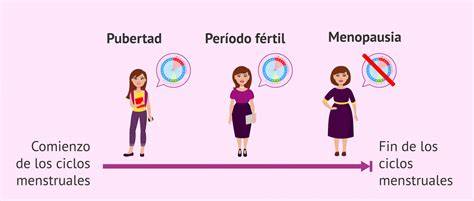Gráfico comparativo que muestra la curva de fertilidad femenina en descenso frente a la fertilidad masculina más estable a lo largo de las décadas.