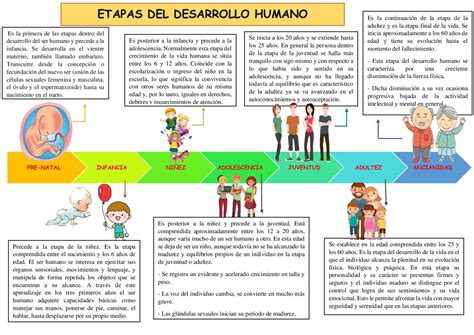 Infografía que ilustra las etapas del desarrollo infantil desde el nacimiento hasta la adolescencia con hitos clave de salud.
