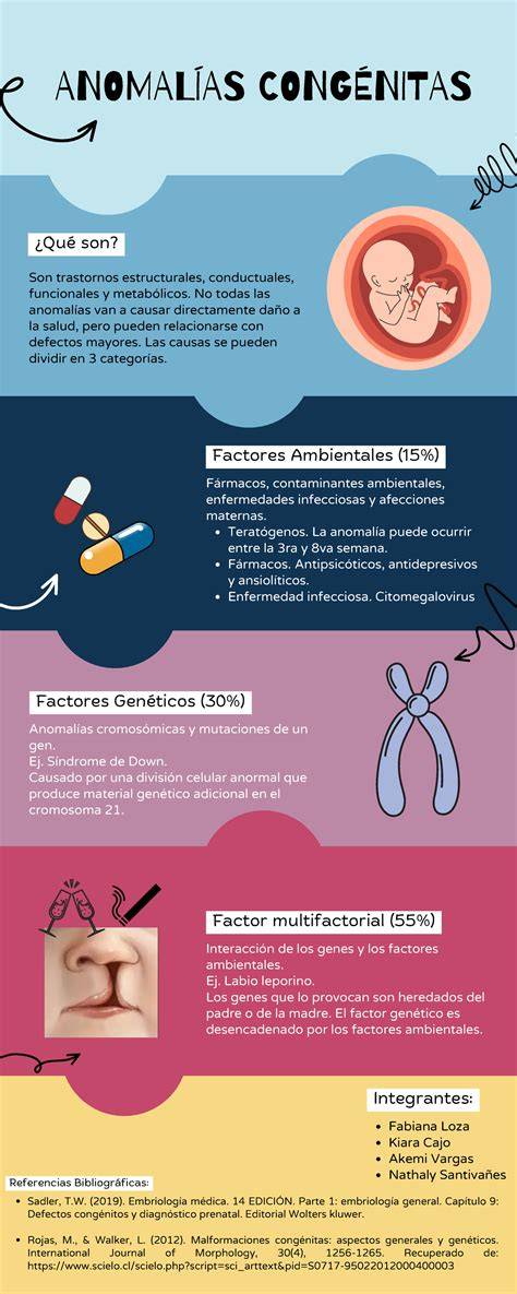 Infografía: Tipos de anomalías congénitas
