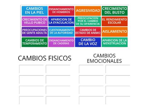 Tabla con los cambios físicos y emocionales comunes por trimestre de gestación.