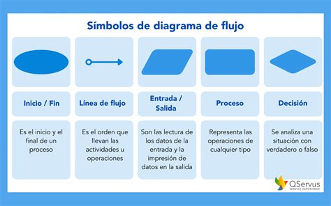 Esquema mostrando los procesos de gemulación, brotación y fragmentación en diversos invertebrados