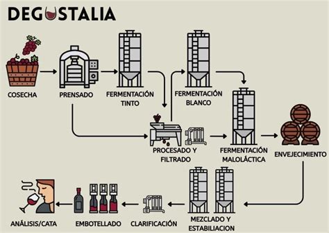 Esquema visual mostrando el proceso de elaboración de una compota artesanal: selección de fruta, cocción suave y triturado.