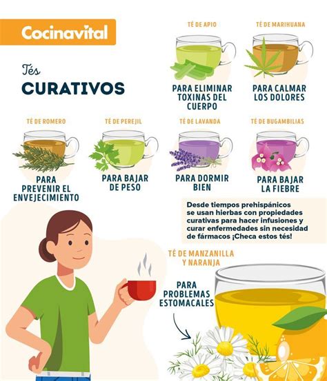 infografía sobre el consumo seguro de infusiones y hierbas durante el periodo de lactancia materna