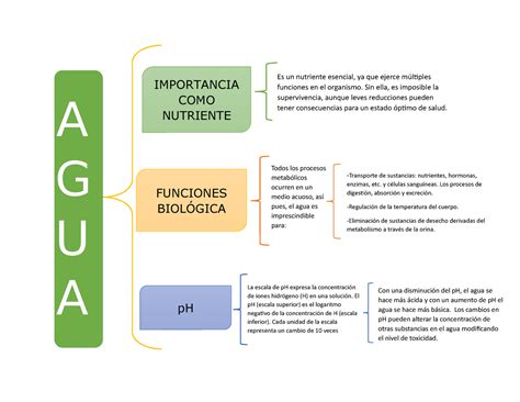 Esquema de la importancia del agua en la producción avícola y porcina