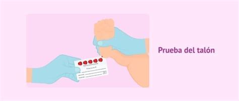Infografía explicativa del proceso de la prueba del talón desde la toma de muestra hasta el seguimiento clínico