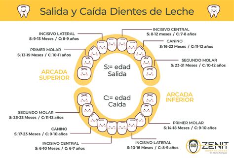 Imagen de dientes de leche con decoloración marrón/amarillenta y radiografía que muestra alteración del crecimiento óseo.