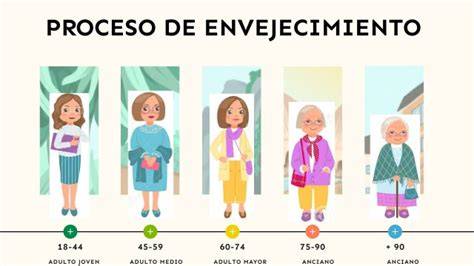 Esquema explicativo del proceso de envejecimiento acelerado en personas con discapacidad intelectual y los pilares de apoyo de Tasubinsa