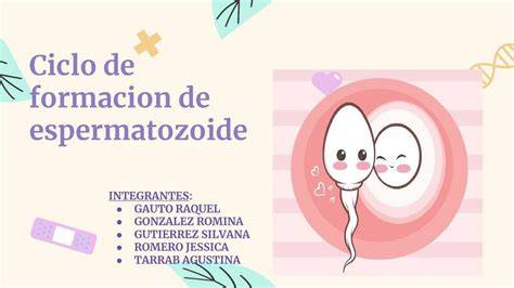 Infografía que muestra la formación de vórtices y superhélices alrededor del espermatozoide durante el nado.