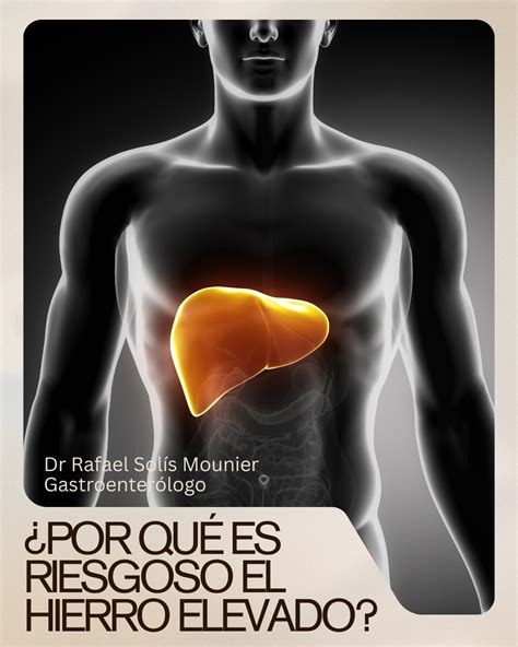Esquema explicativo sobre cómo el exceso de hierro se deposita en órganos como el hígado, páncreas y corazón.