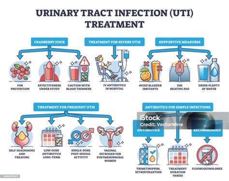 Esquema anatómico del tracto urogenital masculino mostrando zonas de posible infección fúngica y bacteriana.