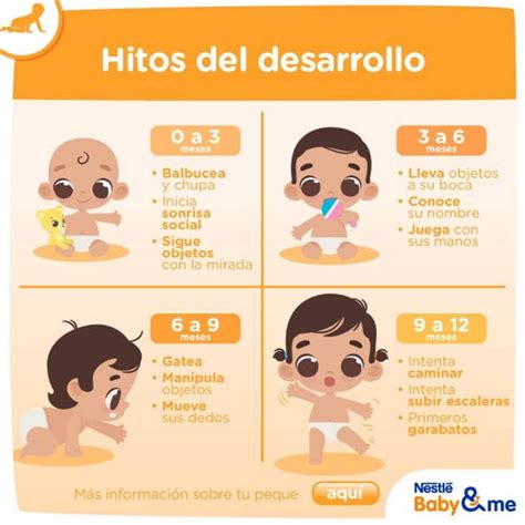 Infografía sobre los hitos del desarrollo nutricional del bebé: de la leche materna a los sólidos