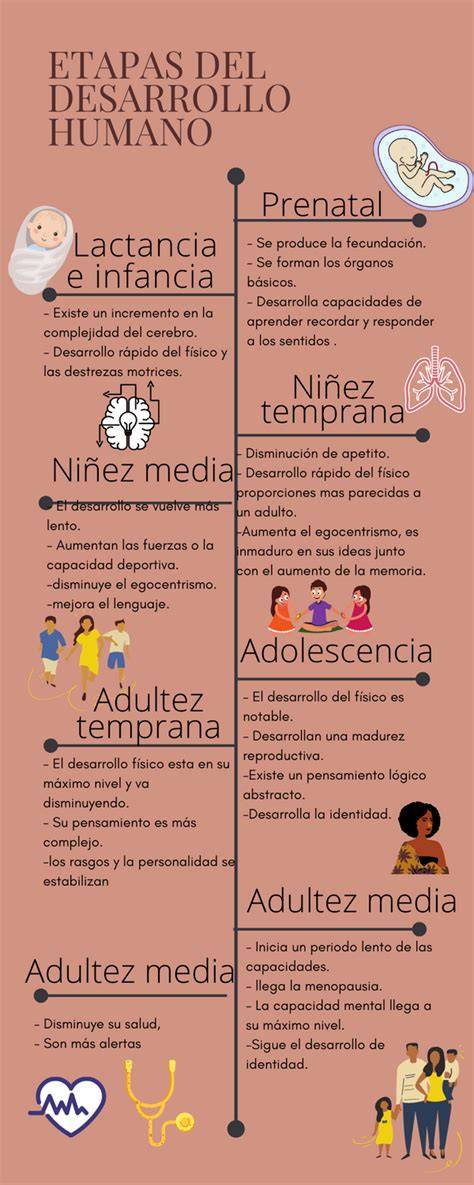 infografía sobre las etapas de la lactancia y las sensaciones asociadas desde el posparto inmediato hasta la lactancia establecida