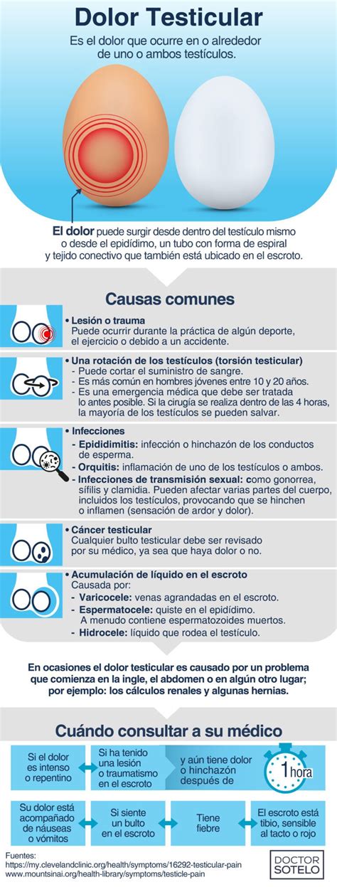 Infografía comparando un testículo sano con un testículo afectado por varicocele, destacando la dilatación venosa y el posible tamaño reducido.