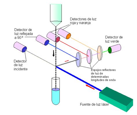 Esquema del proceso de separación espermática mediante citometría de flujo, mostrando la alineación, excitación láser y carga electrostática de las gotas para separar los espermatozoides X e Y.
