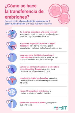Esquema del proceso de transferencia de embriones vitrificados al útero materno