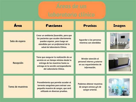Esquema de las instalaciones del laboratorio de embriología y áreas quirúrgicas del Hospital Son Llàtzer