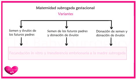 Esquema de las figuras implicadas en la maternidad subrogada: madre genética, madre gestante y padres comitentes.