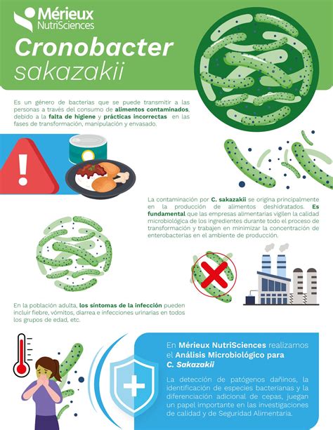 Infografía sobre la bacteria Cronobacter sakazakii y sus efectos en bebés