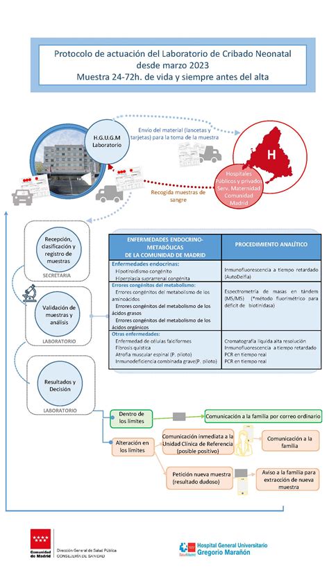 Infografía general del proceso de cribado neonatal, mostrando los pasos desde la toma de muestra hasta el diagnóstico.