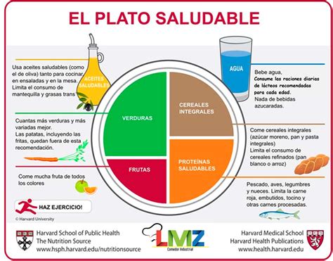 Plato de Harvard adaptado para niños con proporciones de alimentos saludables