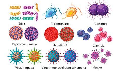 Diagrama que ilustra las vías de transmisión de infecciones virales específicas (como Parvovirus B19 y CMV) de la madre al feto y los daños que pueden causar.