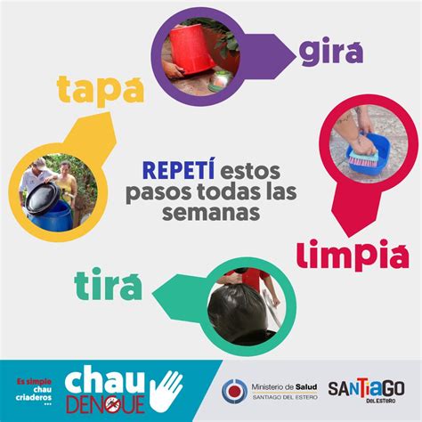 infografía mostrando diversos objetos domésticos que pueden acumular agua y servir de criadero para el mosquito tigre