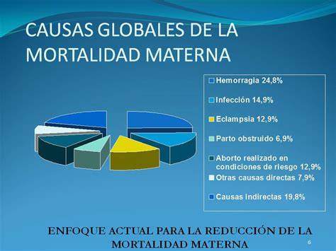 Gráfico mostrando las principales causas de mortalidad materna