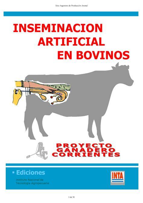 Esquema del proceso de inseminación artificial en ganado bovino