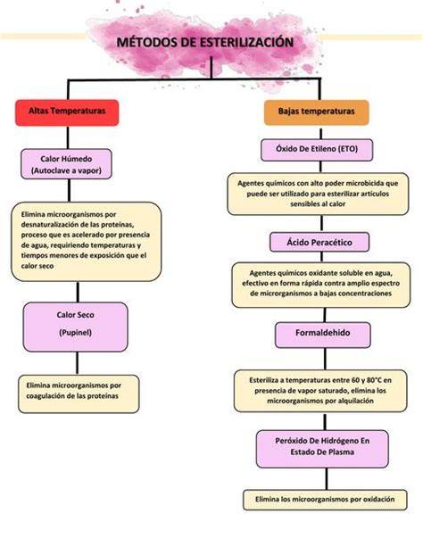 Esquema comparativo de los métodos de esterilización de biberones (frío, calor, vapor)