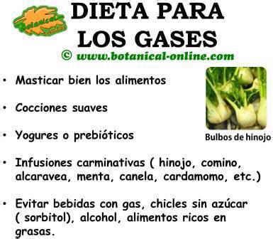 tabla comparativa de alimentos flatulentos y no flatulentos para embarazadas