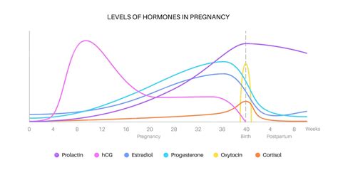 Gráfico explicando los niveles hormonales en la IOP