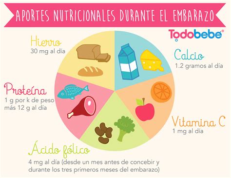 Esquema de las demandas energéticas y nutricionales durante el puerperio