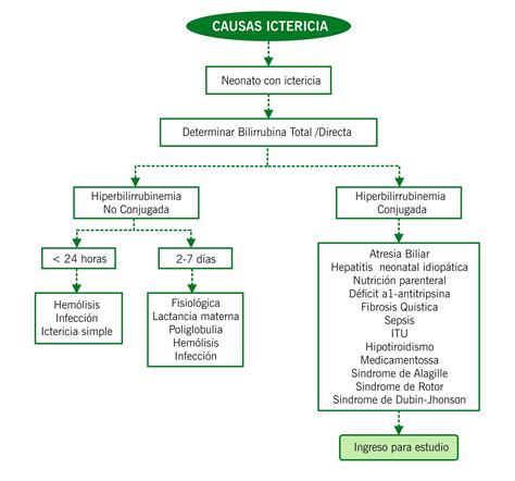 Esquema de las causas de la ictericia neonatal