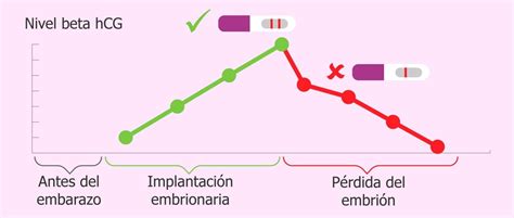 Gráfico de la evolución de los niveles de beta-hCG en un embarazo temprano