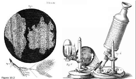 Ilustración de un microscopio rudimentario del siglo XVII usado por van Leeuwenhoek